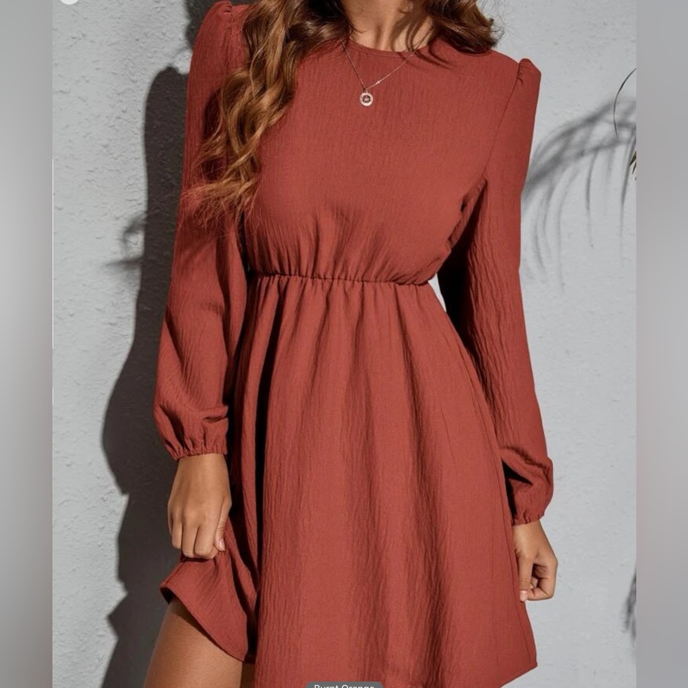 Solid Bishop Sleeve Flared Hem Dress
